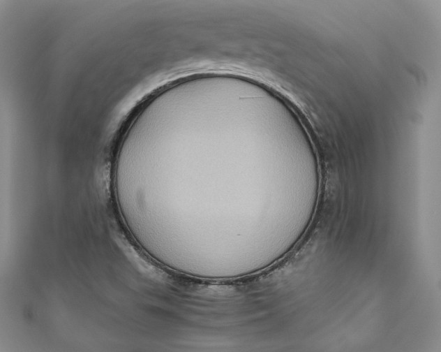 X0000111011503200907060945