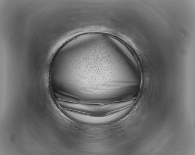 X0000111011504200907060945