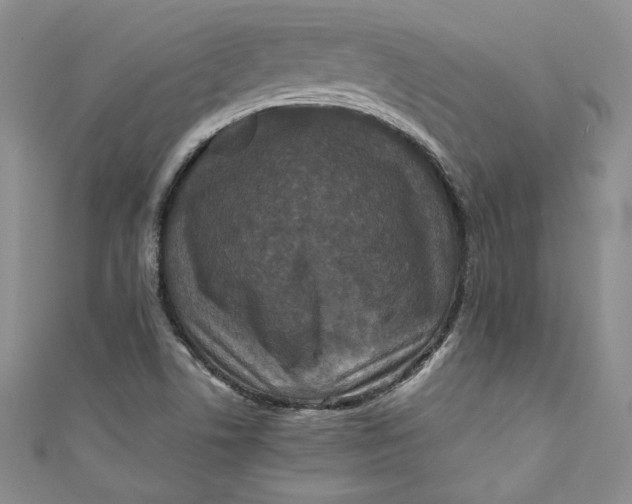 X0000111011506200907060945