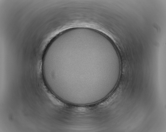 X0000111011507200907060945