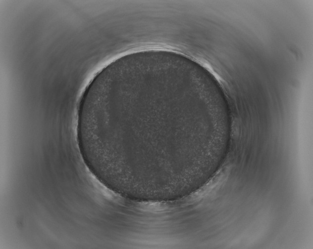 X0000111011508200907060945
