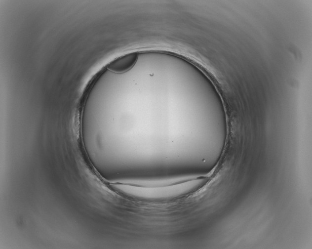 X0000111011510200907060945