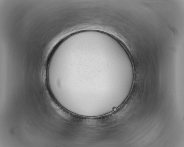 X0000111011511200907060945