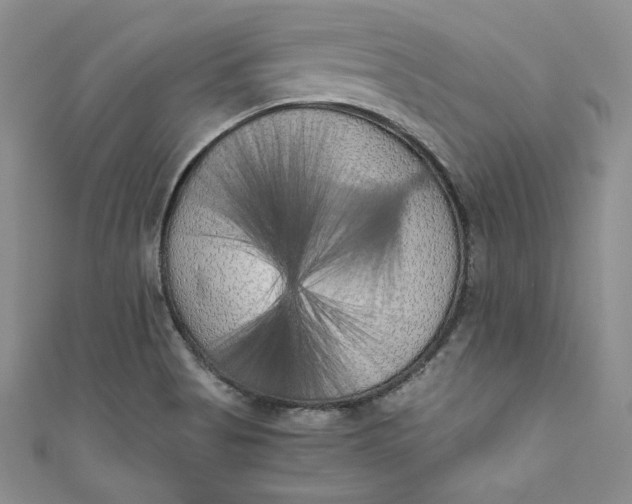 X0000111011513200907060945