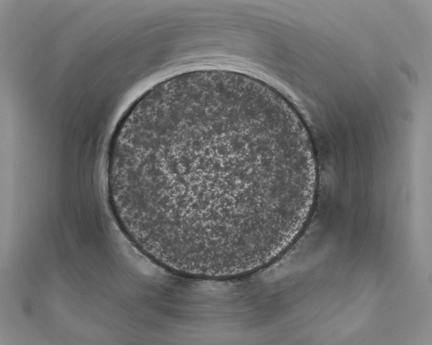 X0000111011514200907060945