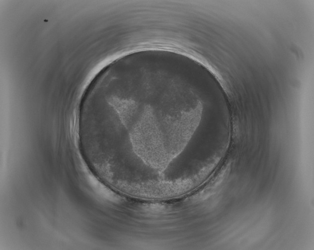 X0000111011515200907060945