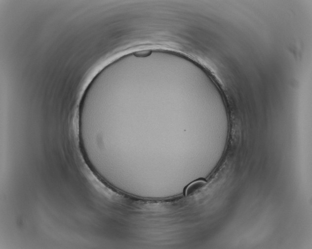X0000111011516200907060945