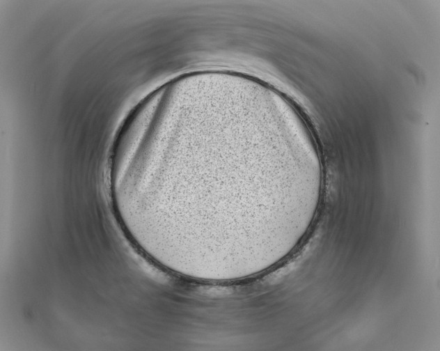 X0000111011517200907060945