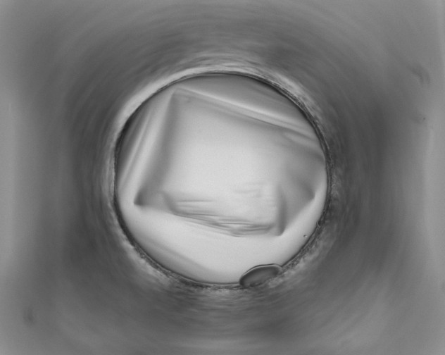 X0000111011520200907060945