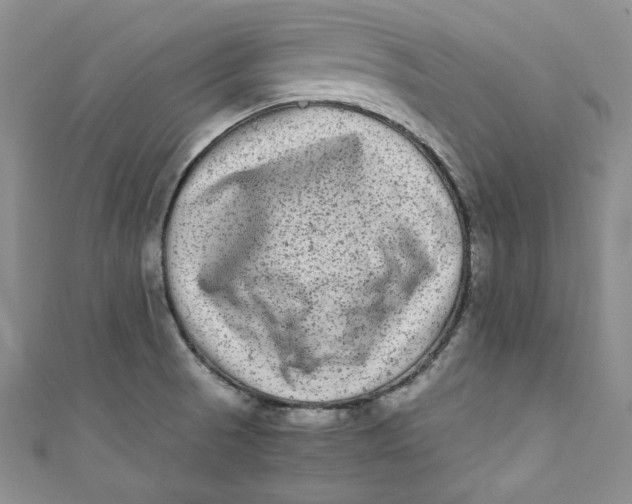 X0000111011521200907060945