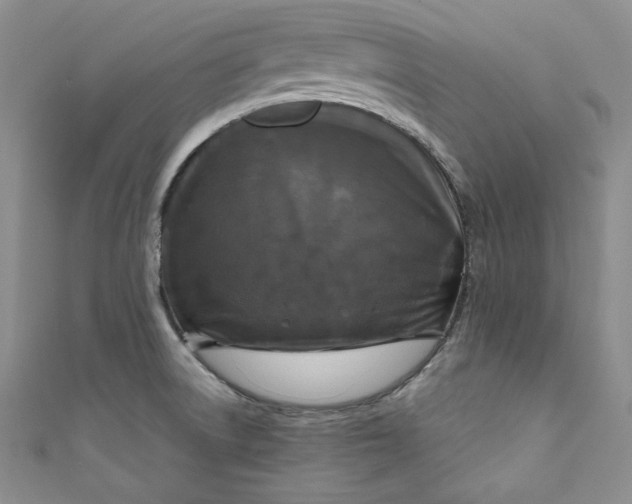 X0000111011522200907060945