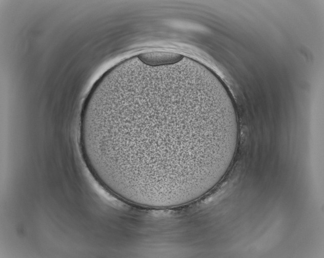 X0000111011523200907060945