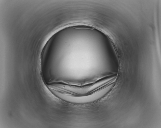 X0000111011524200907060945