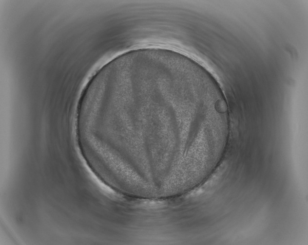 X0000111011525200907060945