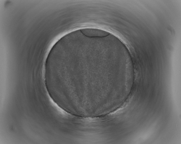 X0000111011527200907060945