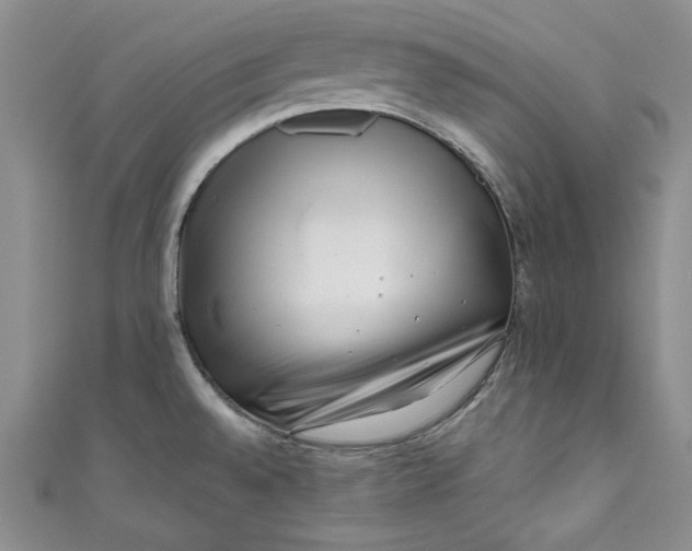 X0000111011528200907060945