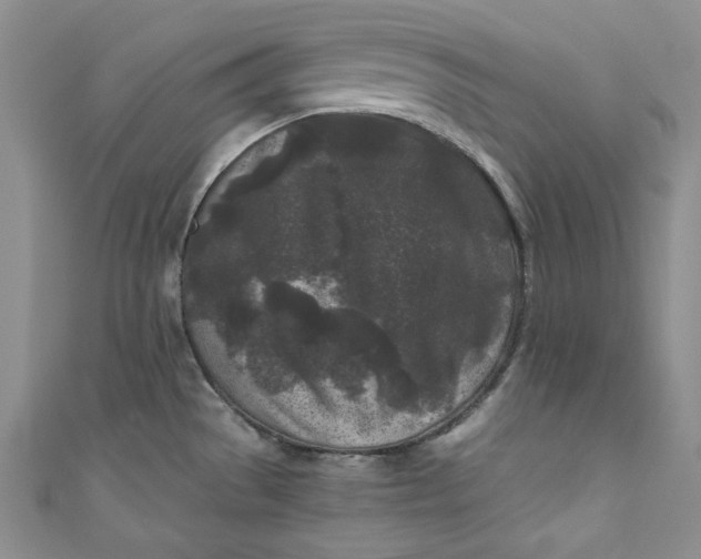 X0000111011529200907060945