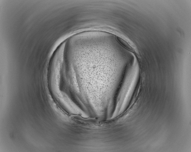 X0000111011530200907060945