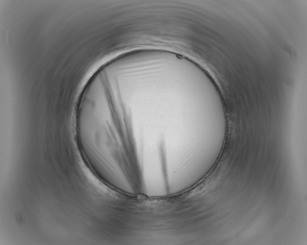 X0000111011531200907060945