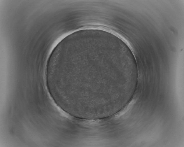 X0000111011533200907060945