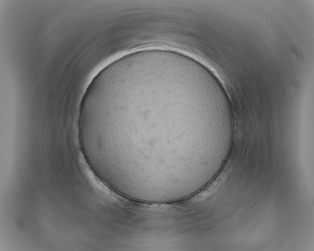 X0000111011534200907060945