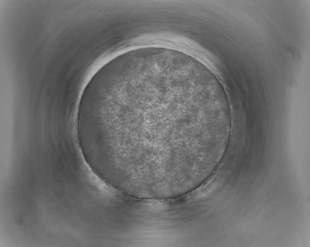 X0000111011536200907060945
