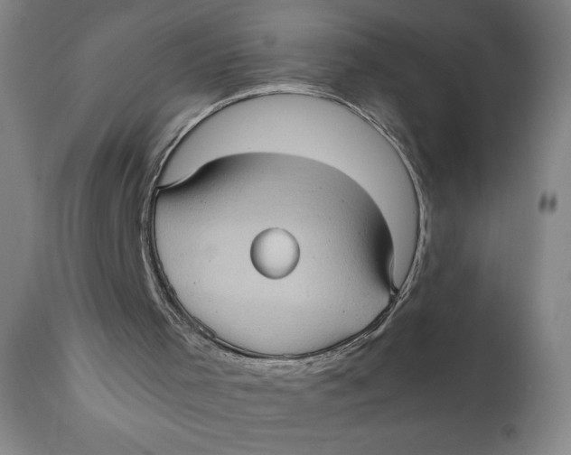 X0000111010001200907101327