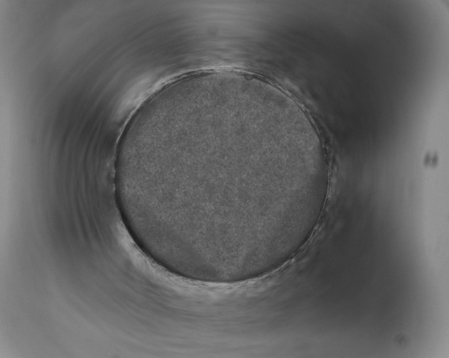 X0000111010002200907101327