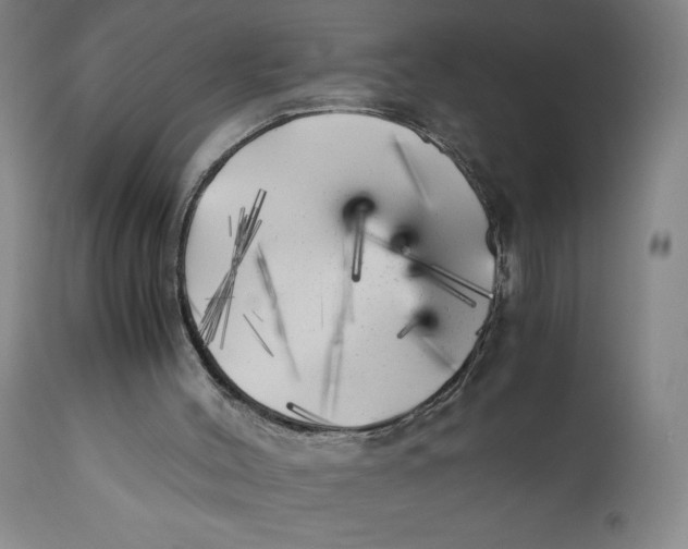 X0000111010004200907101327