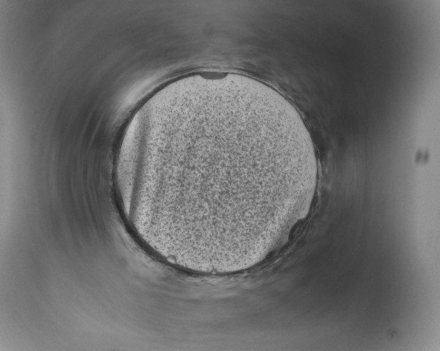 X0000111010005200907101327