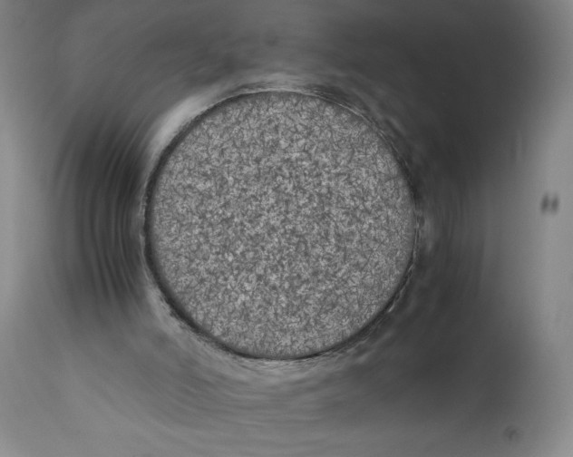 X0000111010006200907101327