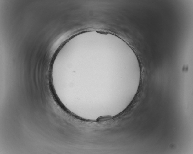 X0000111010007200907101327