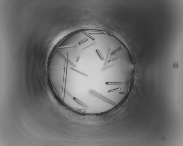 X0000111010008200907101327