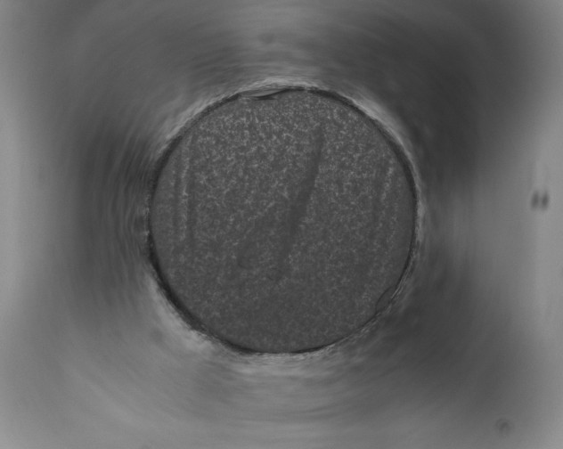 X0000111010009200907101327