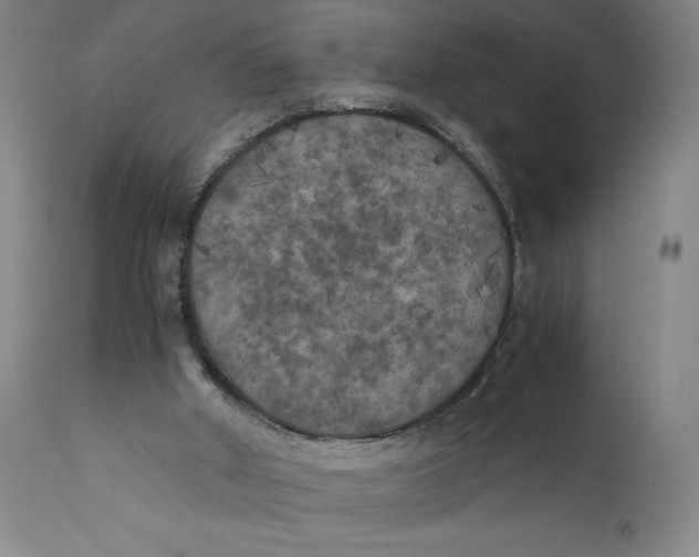 X0000111010010200907101327