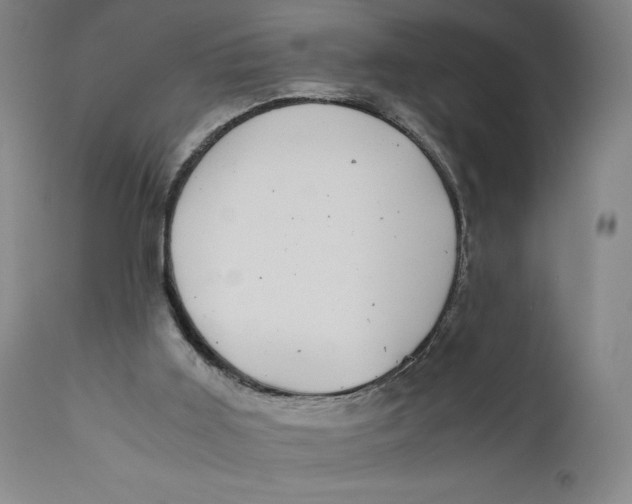 X0000111010011200907101327