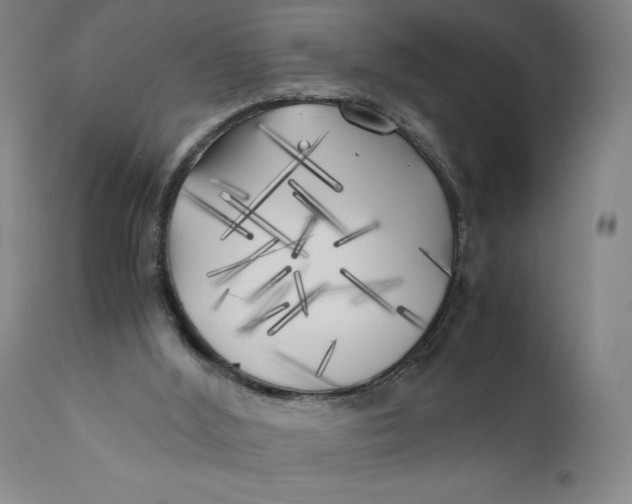 X0000111010012200907101327
