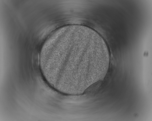 X0000111010013200907101327