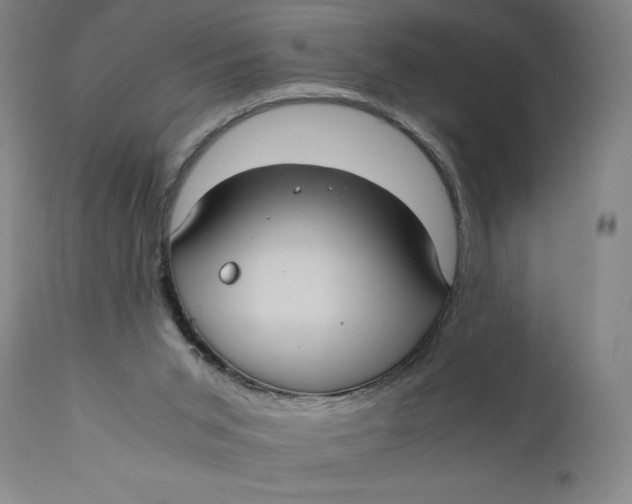 X0000111010015200907101327