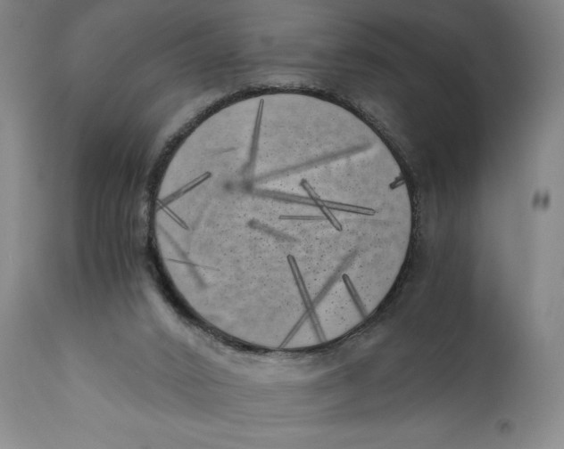 X0000111010016200907101327