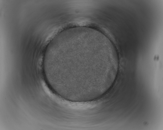 X0000111010018200907101327