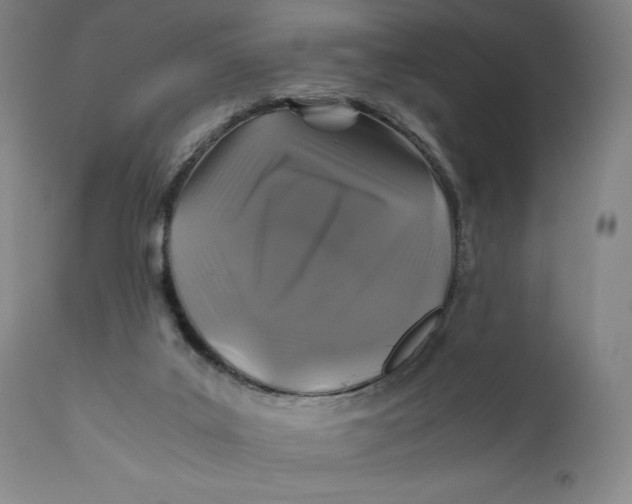 X0000111010019200907101327