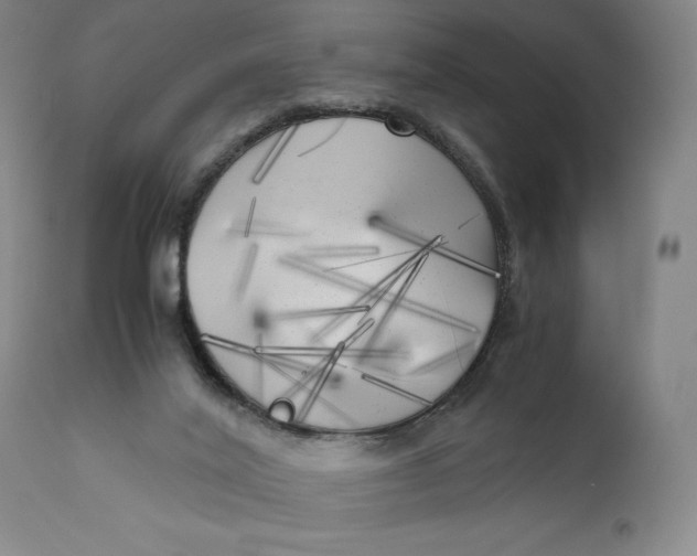 X0000111010020200907101327