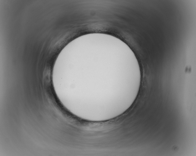 X0000111010021200907101327