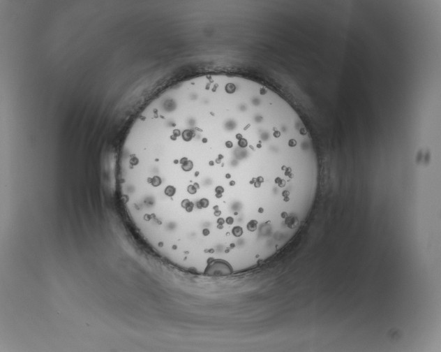 X0000111010022200907101327