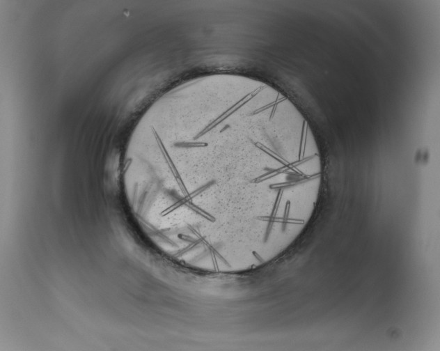 X0000111010024200907101327
