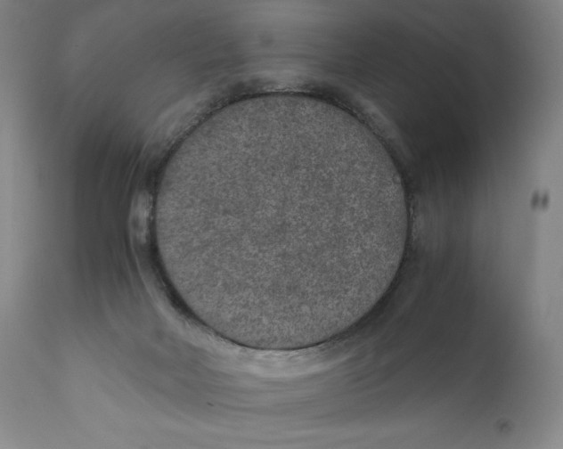 X0000111010026200907101327