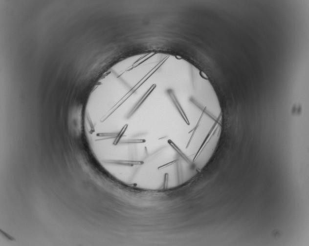 X0000111010028200907101327