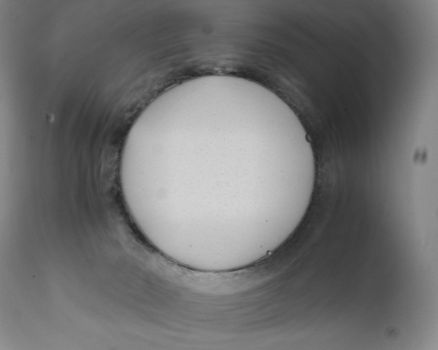 X0000111010030200907101327