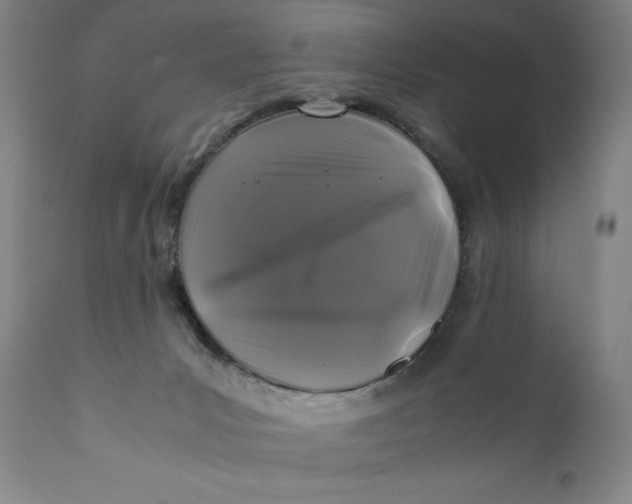 X0000111010031200907101327